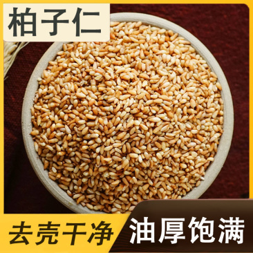 正品选装特级柏子仁柏子仁质量保证新货无硫***干净无杂质