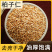 正品选装特级柏子仁柏子仁质量保证新货无硫***干净无杂质