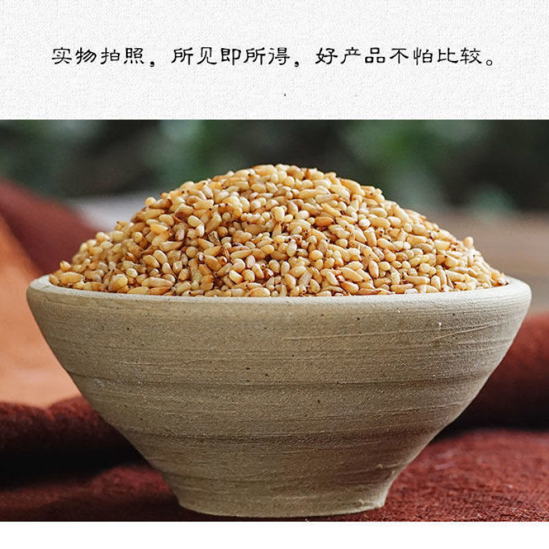 正品选装特级柏子仁柏子仁质量保证新货无硫***干净无杂质