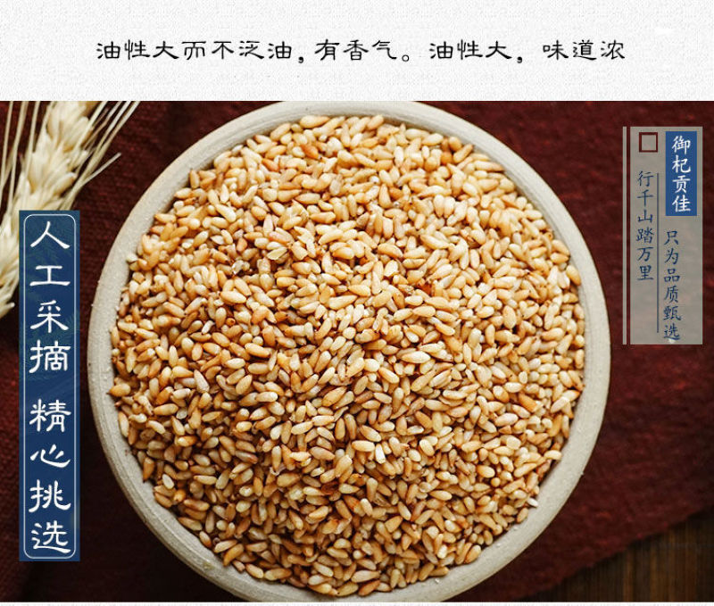 正品选装特级柏子仁柏子仁质量保证新货无硫***干净无杂质