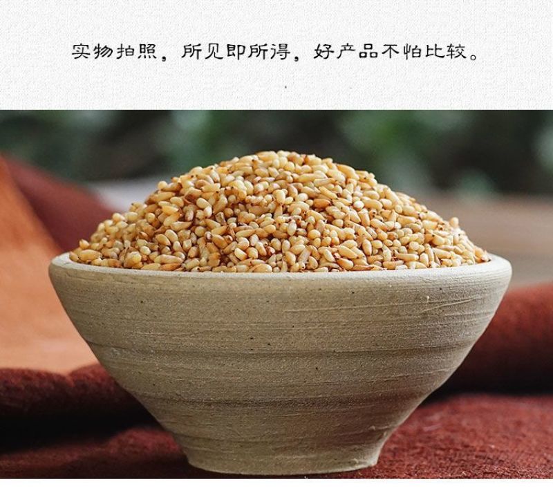 正品选装特级柏子仁柏子仁质量保证新货无硫***干净无杂质
