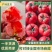 西红柿硬粉，电商，供市场，商超，社区团够，小工包装一条龙