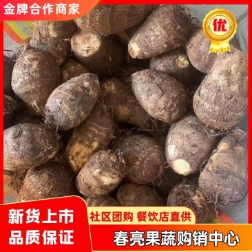【走货快】优质毛芋头足斤足两社区电商规格齐全发货快