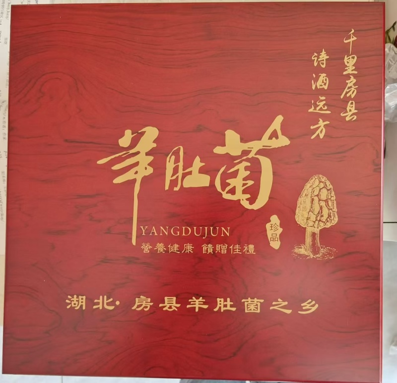 【热卖】精品羊肚菌品质保障，规格齐全支持一件代发欢迎