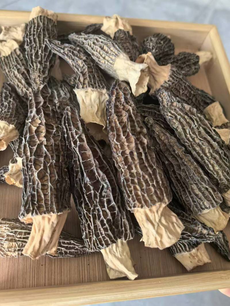【热卖】精品羊肚菌品质保障，规格齐全支持一件代发欢迎