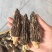 【热卖】精品羊肚菌品质保障，规格齐全支持一件代发欢迎