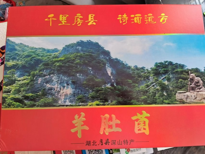 【热卖】精品羊肚菌品质保障，规格齐全支持一件代发欢迎