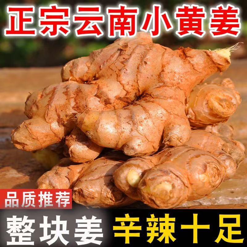 云南生姜小黄姜产地直发供应市场电商坏烂包赔欢迎致电