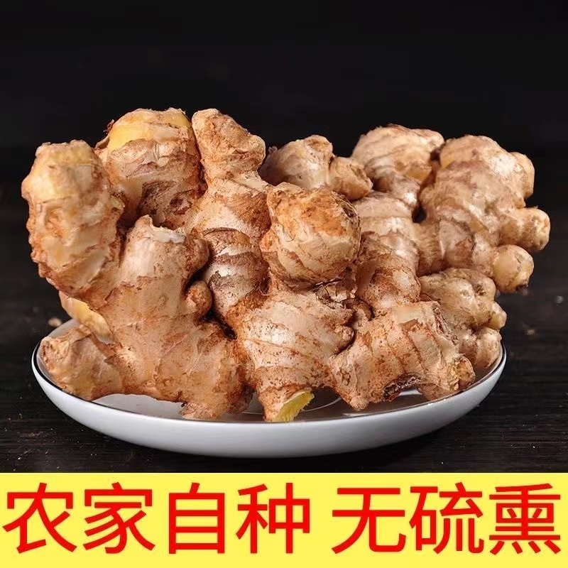 云南生姜小黄姜产地直发供应市场电商坏烂包赔欢迎致电