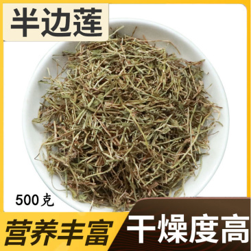 广西野生半边莲中草药半边连细米草半边花新货干中药材