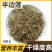 广西野生半边莲中草药半边连细米草半边花新货干中药材