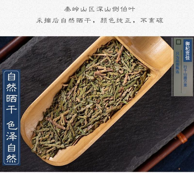 侧柏叶新鲜干柏树叶扁柏叶侧柏叶生发颗粒免煮中药材干叶脱发