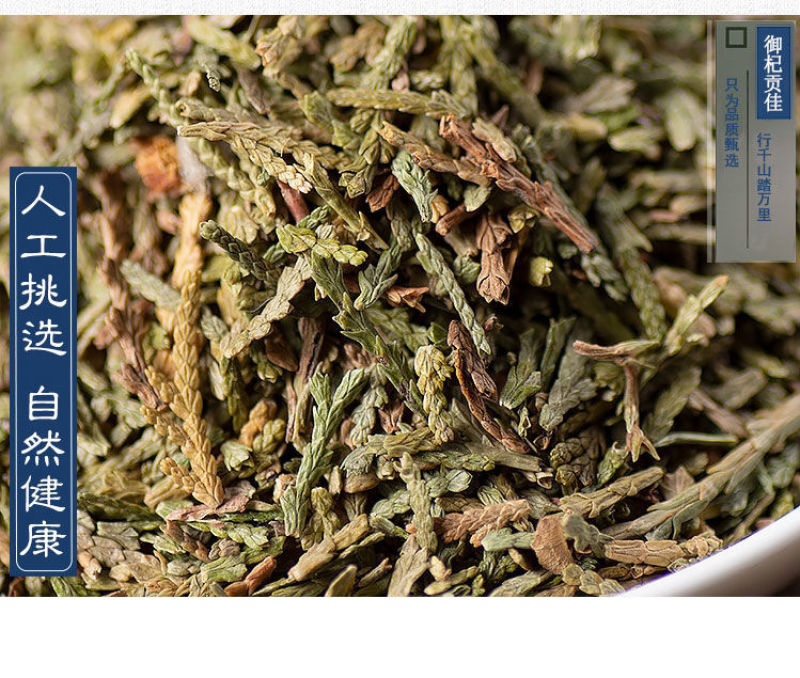 侧柏叶新鲜干柏树叶扁柏叶侧柏叶生发颗粒免煮中药材干叶脱发