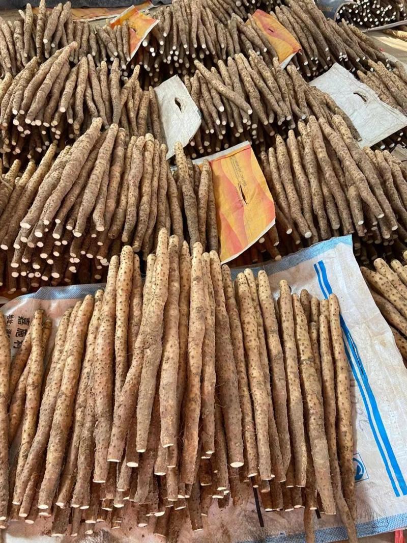 河北铁棍山药商超精品铁杆山药专业种植货源充足市场团购档口
