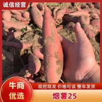 烟薯25蜜薯，软糯香甜，皮薄无丝。欢迎咨询实地