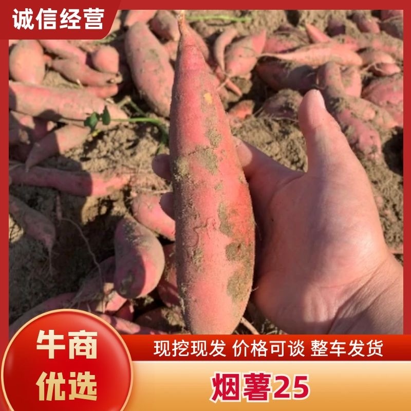 烟薯25蜜薯，软糯香甜，皮薄无丝。欢迎咨询实地