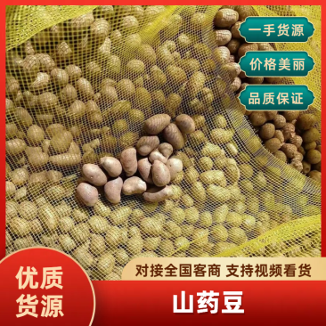 【实力推荐】山东山药/山药豆/对接电商批发市场加工厂
