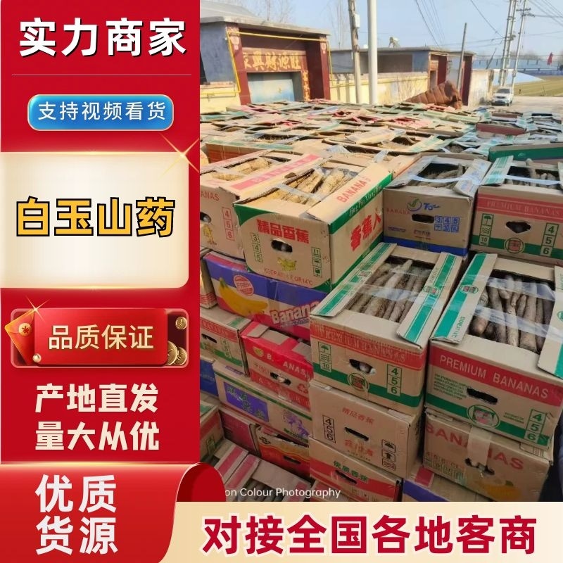 【复购高】山东山药/白玉山药/对接电商/品种齐全