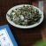 新货淡竹叶新鲜野生淡竹叶薏苡茶中药材淡竹叶茶金竹叶