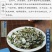 新货淡竹叶新鲜野生淡竹叶薏苡茶中药材淡竹叶茶金竹叶