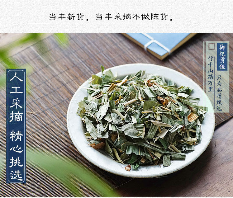 新货淡竹叶新鲜野生淡竹叶薏苡茶中药材淡竹叶茶金竹叶