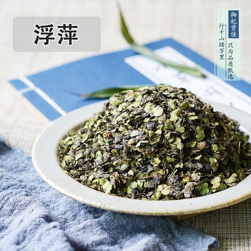 浮萍草浮萍中药材水莲花青萍田萍浮萍草紫背浮萍