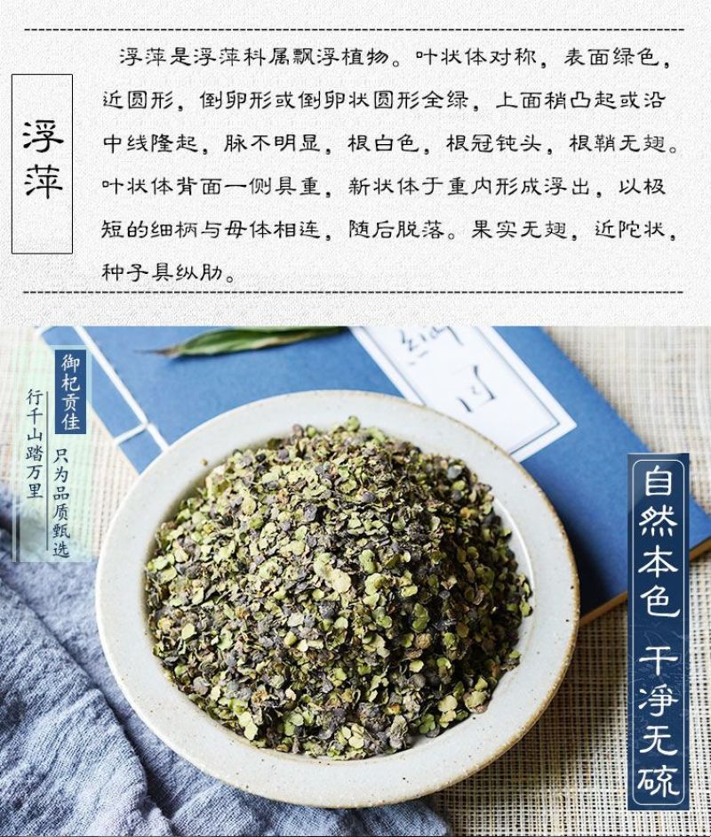 浮萍草浮萍中药材水莲花青萍田萍浮萍草紫背浮萍