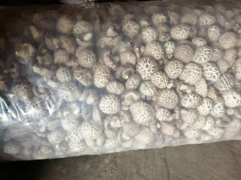 随州干货花菇，2-10厘米以上，各类品级、通货、精品都有