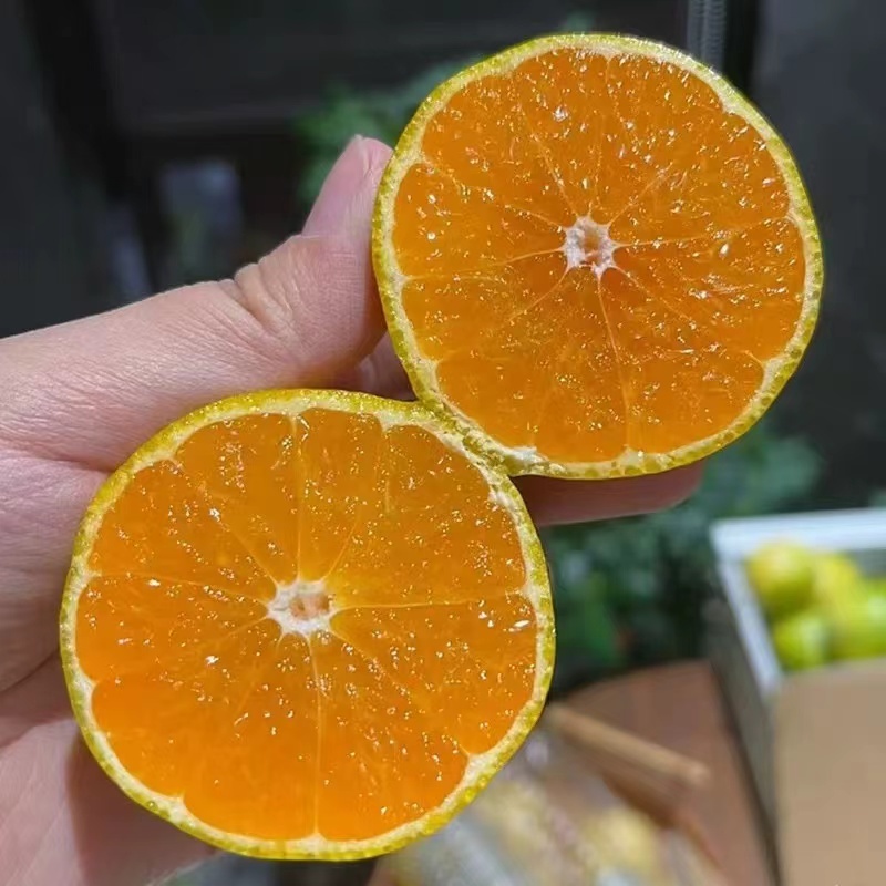 福建蜜橘/产地直发/一手货源/量大价优/欢迎致电老板热情