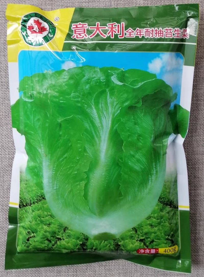 意大利全年耐抽苔生菜种子耐热耐抽苔爽脆味香