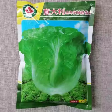 意大利全年耐抽苔生菜种子耐热耐抽苔爽脆味香