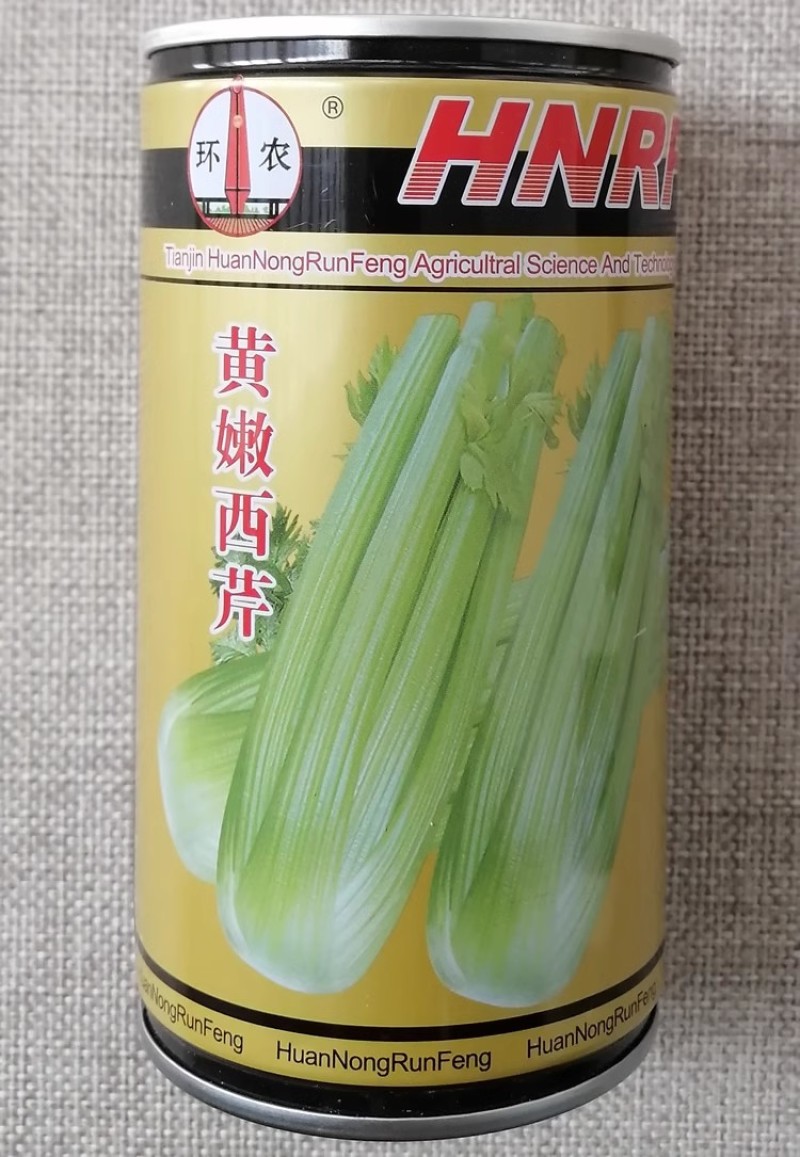 黄嫩西芹种子抗病耐低温实心黄绿色抽苔晚