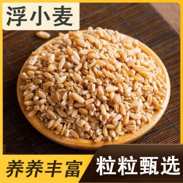 【精品】浮小麦泡水浮麦浮小麦止汗中药材瘪小麦浮小麦茶盗汗