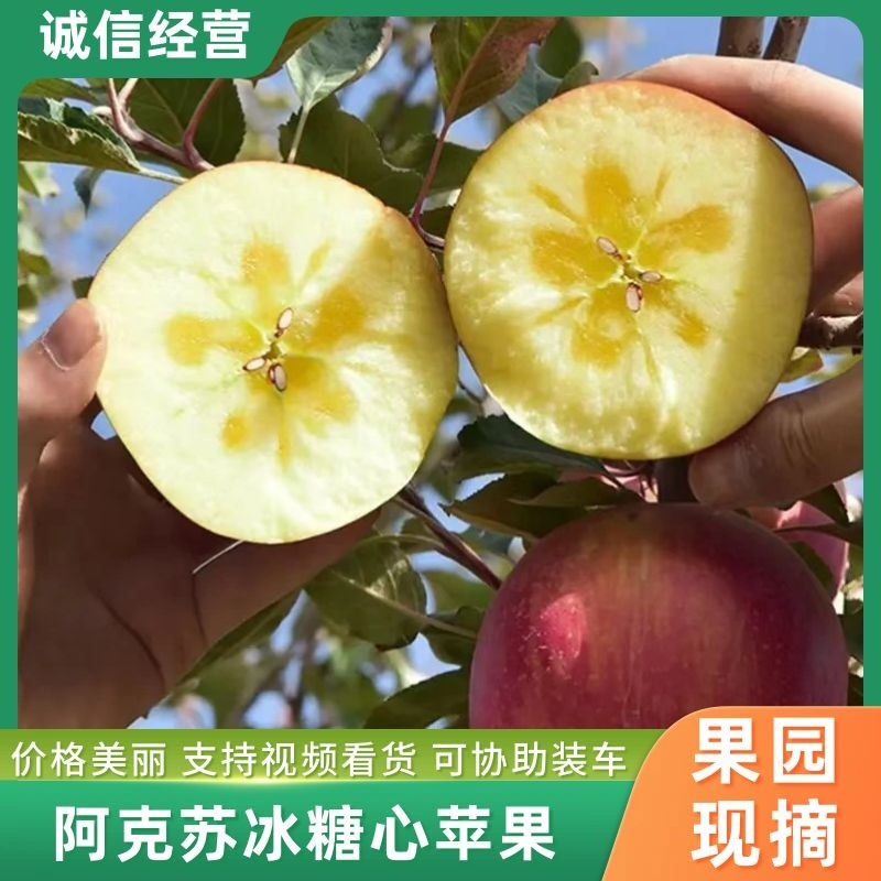 【推荐】新疆阿克苏冰糖心苹果量大从优产地发货欢迎咨询
