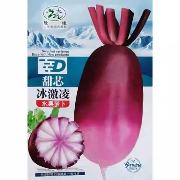 甜芯冰激凌水果萝卜种子紫红皮肉内芯红甜脆多汁无辣味