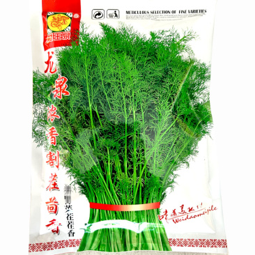 割茬茴香种子龙泉生长期短45天上市春秋基地种植