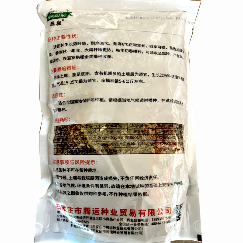 木茴香种子翠绿油亮四季采收割茬茴香大扁杆拱棚