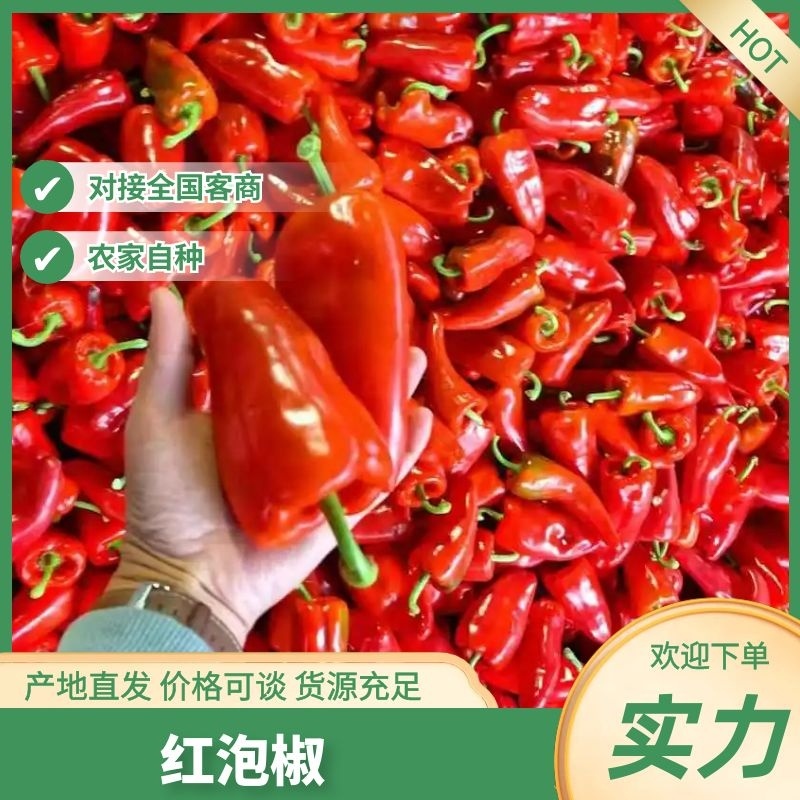 红泡椒湖北泡椒鲜辣椒产地一手货源量大优惠品质保障
