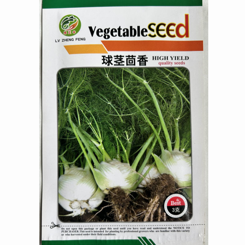 球茎茴香种子小茴香菜种籽春秋四季栽培香味浓