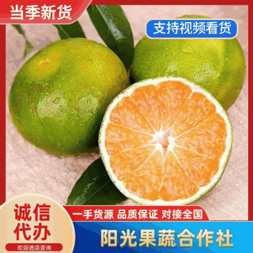 湖北特早蜜橘己经开园了。有需求的客商，电商来电资询。