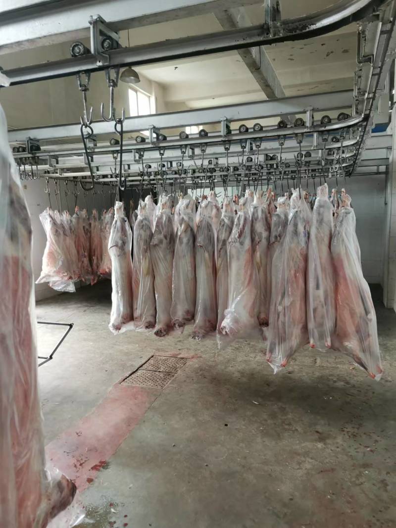 【山羊肉】陕北横山羊肉每天现宰，可以常年供货