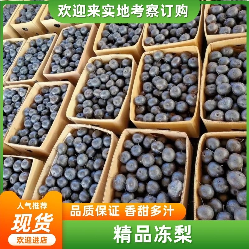 冻梨/东北冻梨/好吃爽口/苹果梨产地直发/欢迎致电咨询