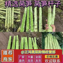 莴笋杆子/青皮青肉/无空心/质量保证/代发全国