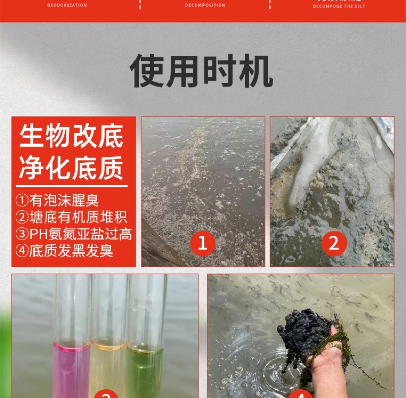 生物改底池塘稳水稳藻活化底泥除臭改底抑制有害藻