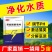 有机酸解毒片降解氨氮亚盐抑制蓝藻稳定藻相解毒调水