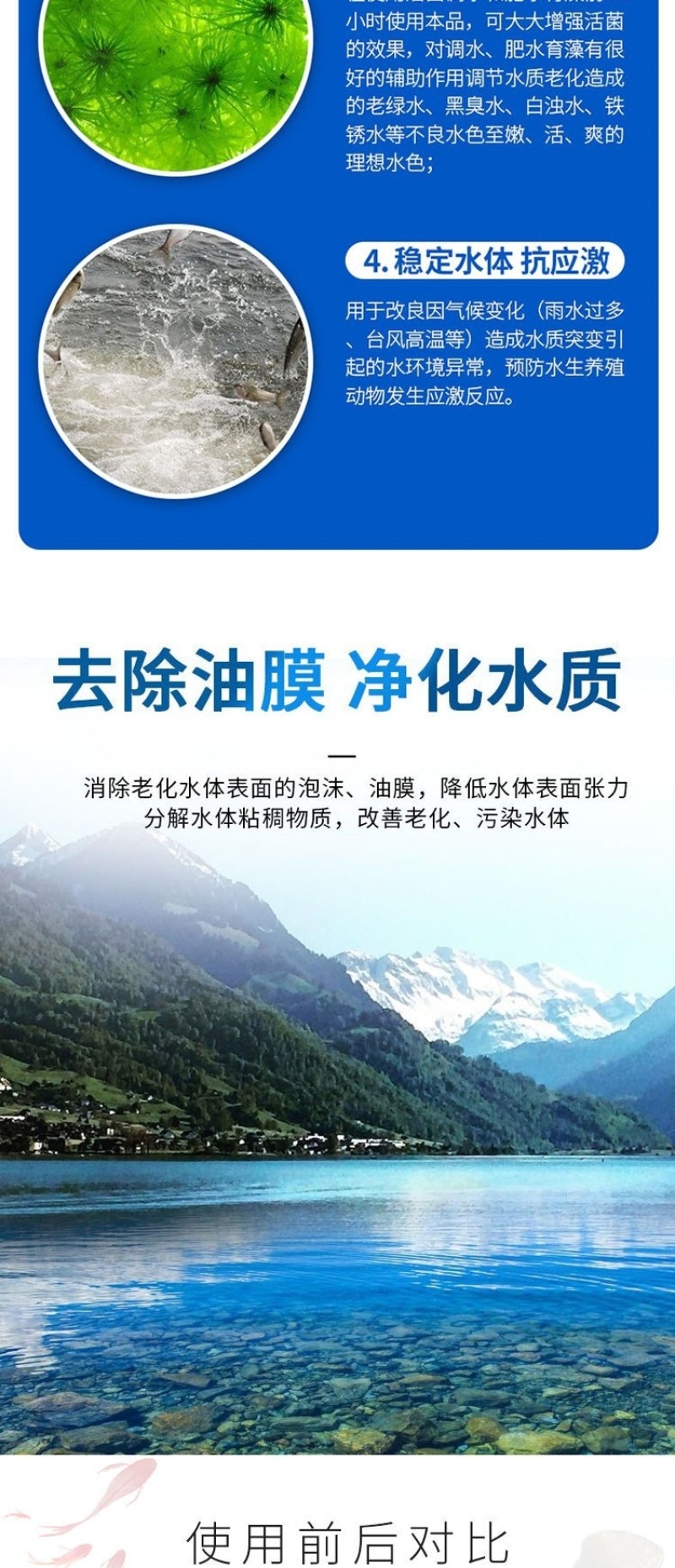 有机酸解毒片降解氨氮亚盐抑制蓝藻稳定藻相解毒调水