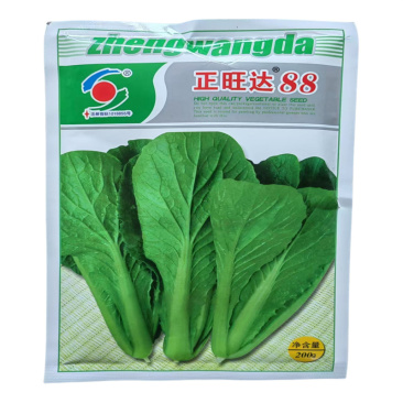 青梗速生小白菜种子正旺达88小白菜种子四季特耐热产量高