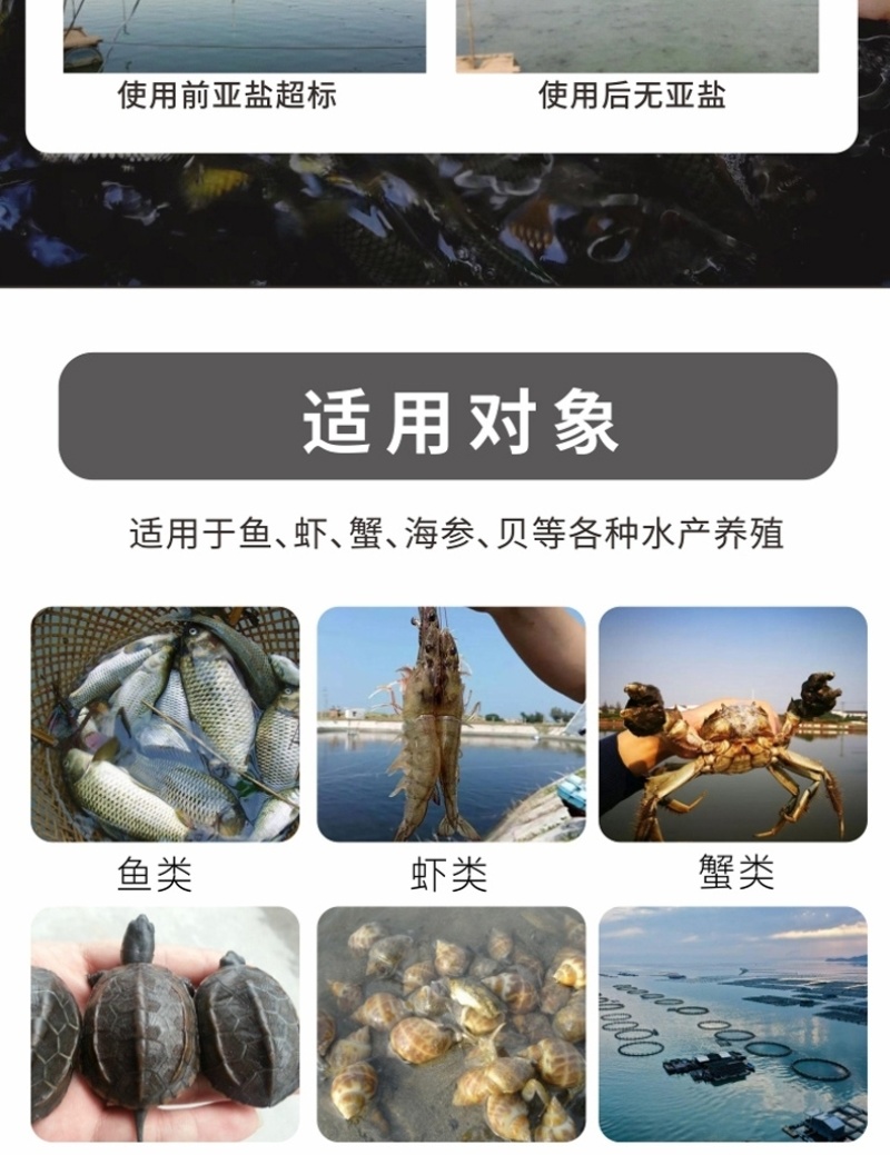有机酸解毒粉复合有机酸净水调水抑制蓝藻抗应激