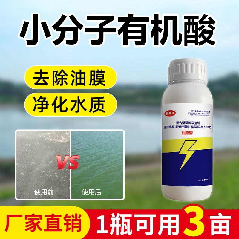 油膜清清除池塘油膜调水净水去除油膜改良水质
