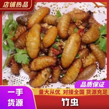 广东特产竹虫个大肉多口感好价格实惠欢迎选购